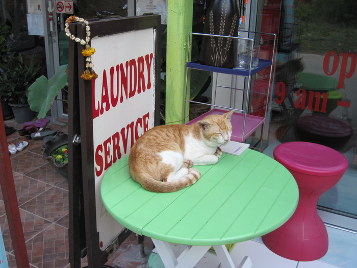 Утомленные снорком. Khao Lak–Surin–Similan–Ко Samui–Koh Tao–Phuket. Февраль – март 2013.