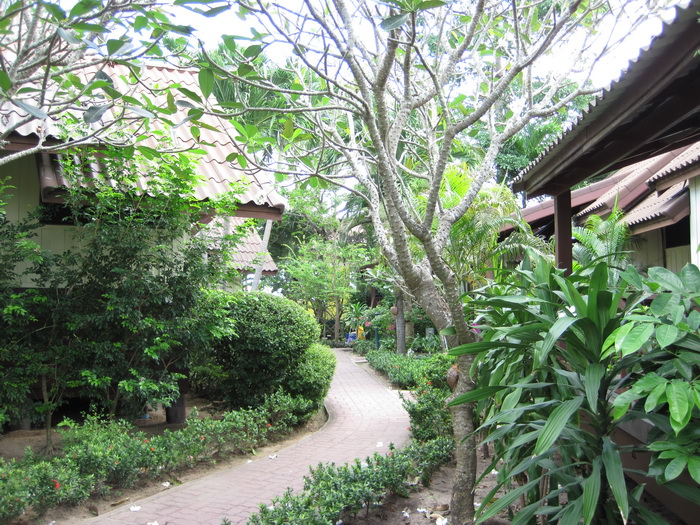 Утомленные снорком. Khao Lak–Surin–Similan–Ко Samui–Koh Tao–Phuket. Февраль – март 2013.