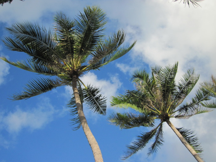 Утомленные снорком. Khao Lak–Surin–Similan–Ко Samui–Koh Tao–Phuket. Февраль – март 2013.