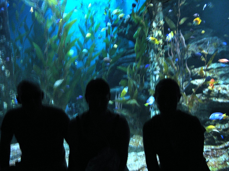 Три недели не следя за временем