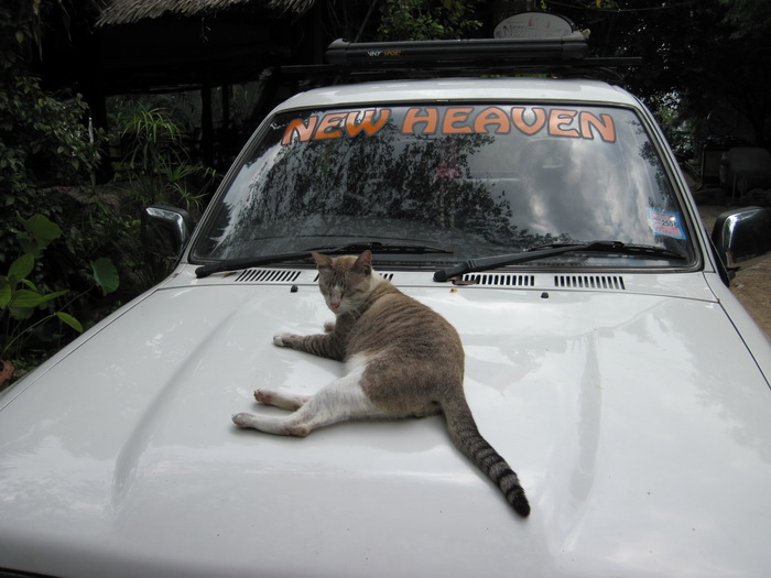 Утомленные снорком. Khao Lak–Surin–Similan–Ко Samui–Koh Tao–Phuket. Февраль – март 2013.