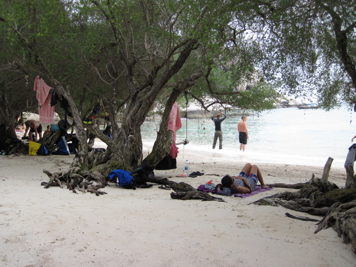 Утомленные снорком. Khao Lak–Surin–Similan–Ко Samui–Koh Tao–Phuket. Февраль – март 2013.
