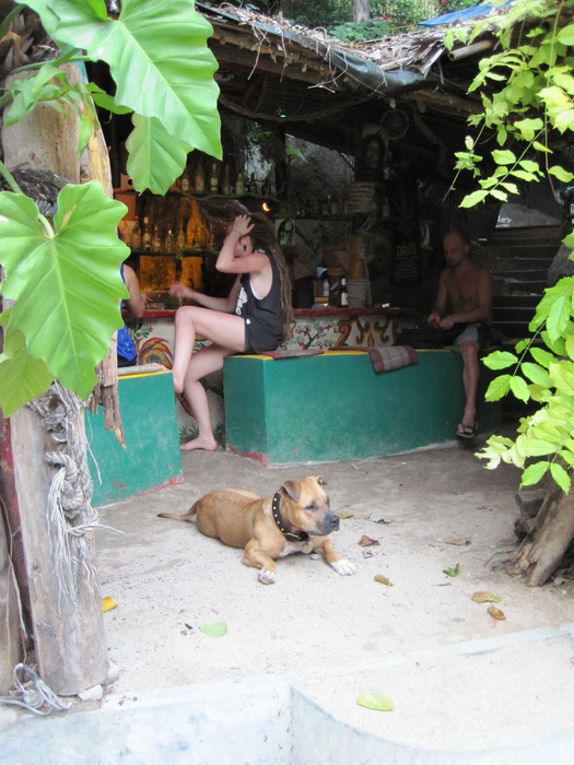 Утомленные снорком. Khao Lak–Surin–Similan–Ко Samui–Koh Tao–Phuket. Февраль – март 2013.