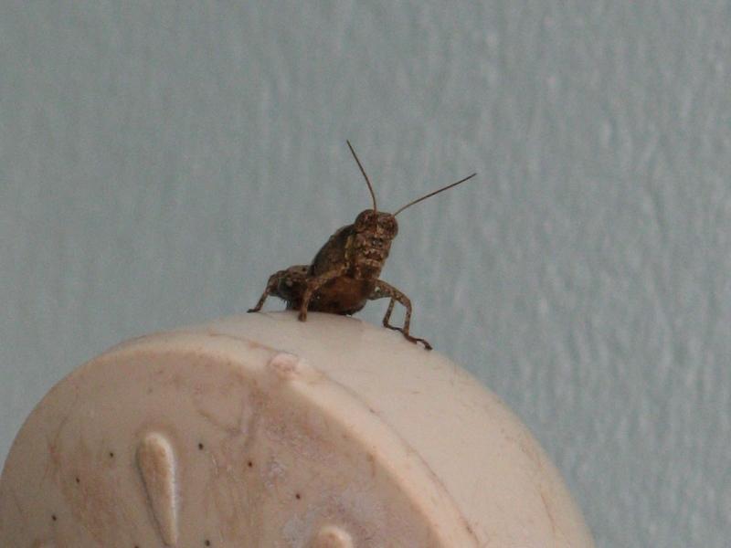 Три недели не следя за временем