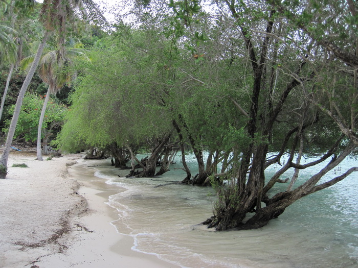 Утомленные снорком. Khao Lak–Surin–Similan–Ко Samui–Koh Tao–Phuket. Февраль – март 2013.