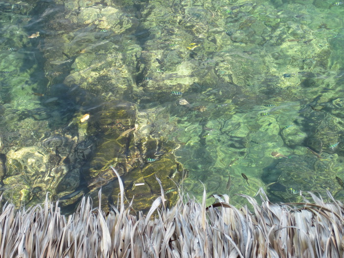 Утомленные снорком. Khao Lak–Surin–Similan–Ко Samui–Koh Tao–Phuket. Февраль – март 2013.