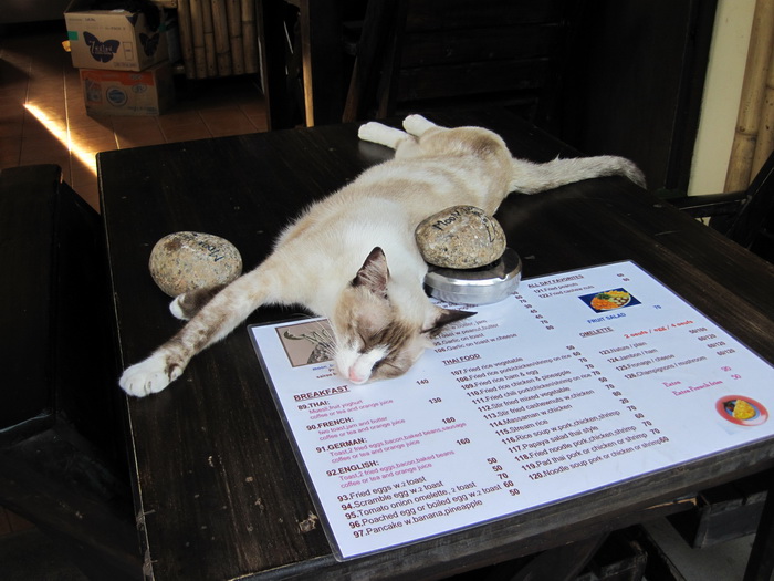 Утомленные снорком. Khao Lak–Surin–Similan–Ко Samui–Koh Tao–Phuket. Февраль – март 2013.