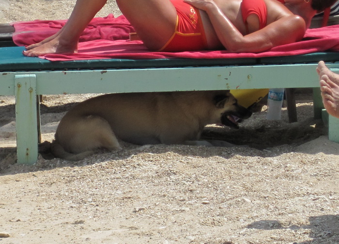 Утомленные снорком. Khao Lak–Surin–Similan–Ко Samui–Koh Tao–Phuket. Февраль – март 2013.