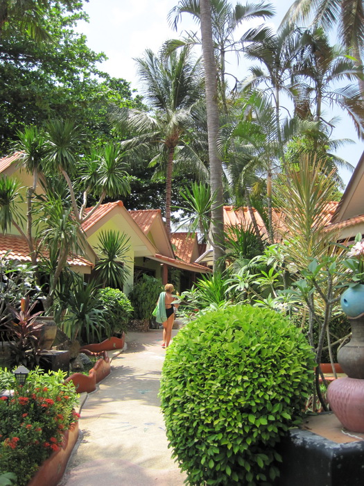 Утомленные снорком. Khao Lak–Surin–Similan–Ко Samui–Koh Tao–Phuket. Февраль – март 2013.