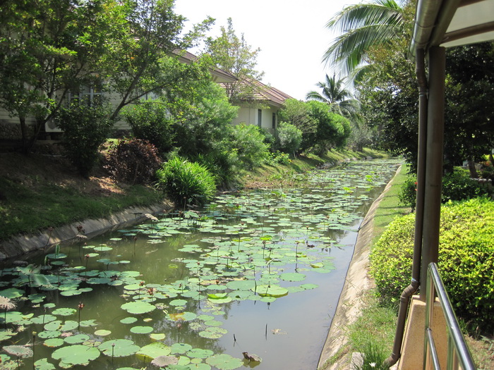 Утомленные снорком. Khao Lak–Surin–Similan–Ко Samui–Koh Tao–Phuket. Февраль – март 2013.