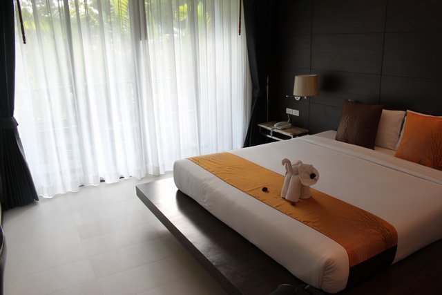 Сочинение. Как я провел лето, нет зиму, нет отпуск. Пукет и