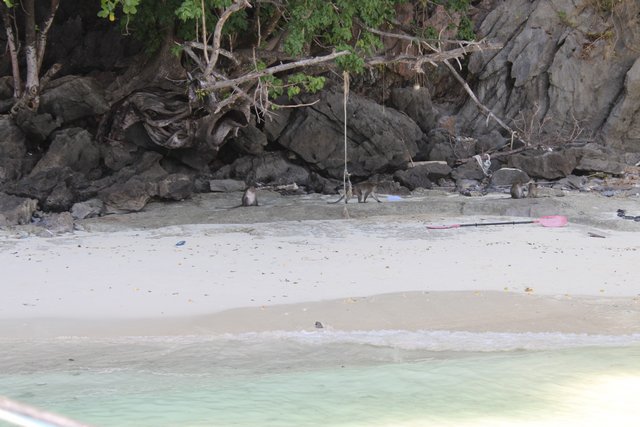 Сочинение. Как я провел лето, нет зиму, нет отпуск. Пукет и