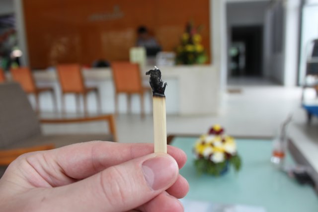 Сочинение. Как я провел лето, нет зиму, нет отпуск. Пукет и