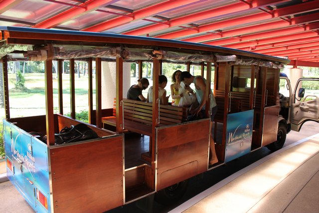 Сочинение. Как я провел лето, нет зиму, нет отпуск. Пукет и