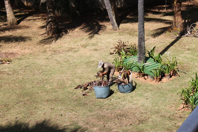 Сочинение. Как я провел лето, нет зиму, нет отпуск. Пукет и