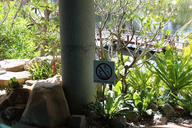 Сочинение. Как я провел лето, нет зиму, нет отпуск. Пукет и