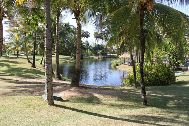 Сочинение. Как я провел лето, нет зиму, нет отпуск. Пукет и