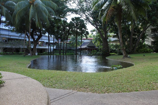 Сочинение. Как я провел лето, нет зиму, нет отпуск. Пукет и