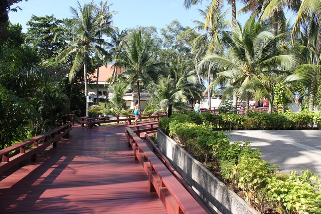 Сочинение. Как я провел лето, нет зиму, нет отпуск. Пукет и