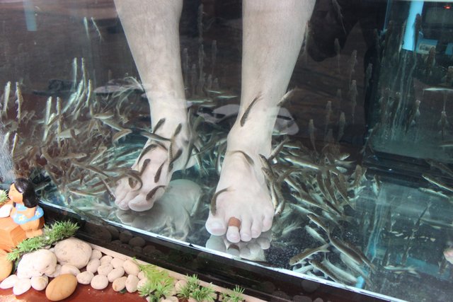 Сочинение. Как я провел лето, нет зиму, нет отпуск. Пукет и