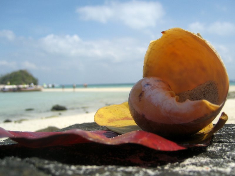 Первый блин: Краби-ПиПи-Пукет-Бангкок (24.12-10.01.2010)