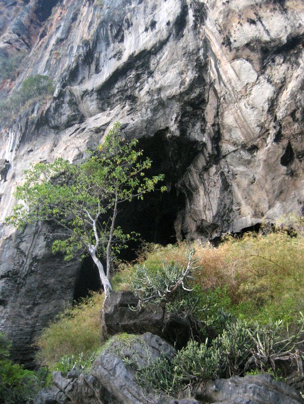 Первый блин: Краби-ПиПи-Пукет-Бангкок (24.12-10.01.2010)