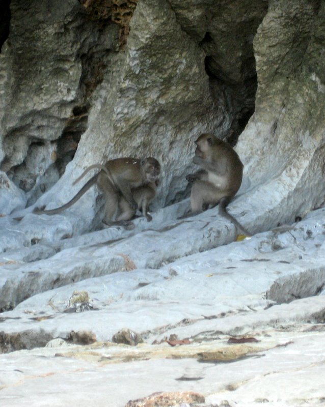 Первый блин: Краби-ПиПи-Пукет-Бангкок (24.12-10.01.2010)