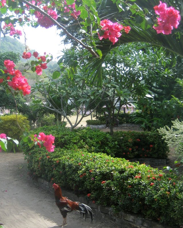 Первый блин: Краби-ПиПи-Пукет-Бангкок (24.12-10.01.2010)