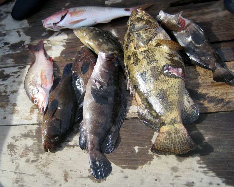 Первый блин: Краби-ПиПи-Пукет-Бангкок (24.12-10.01.2010)