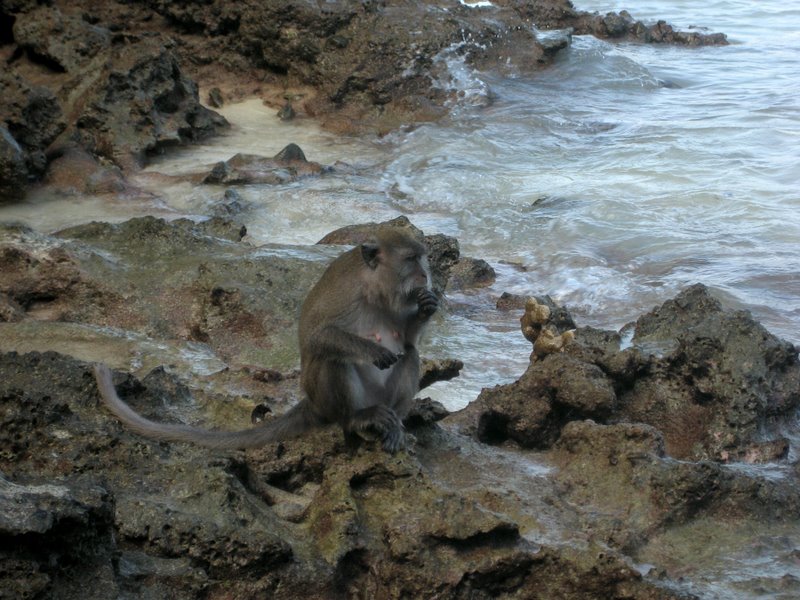 Первый блин: Краби-ПиПи-Пукет-Бангкок (24.12-10.01.2010)