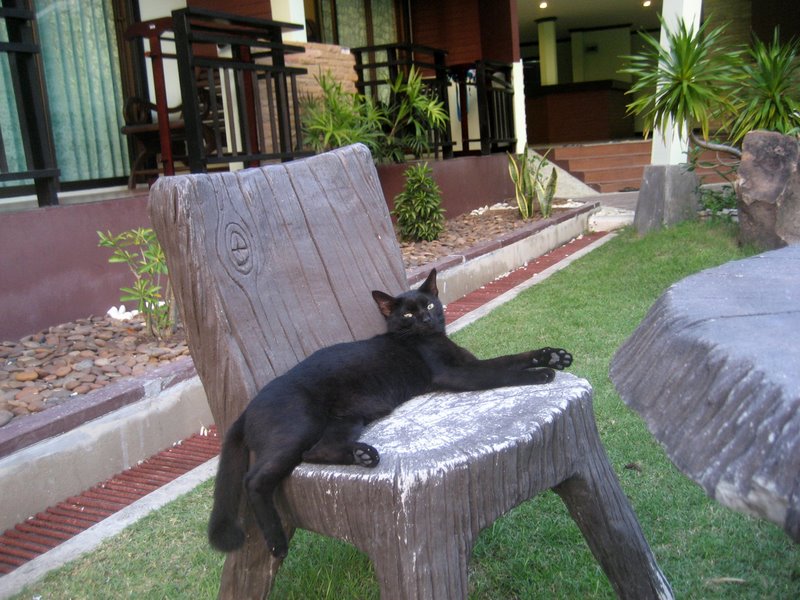 Первый блин: Краби-ПиПи-Пукет-Бангкок (24.12-10.01.2010)