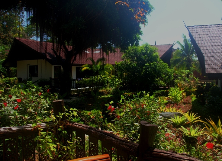 Phi-Phi: Paradise Pearl Bungalow