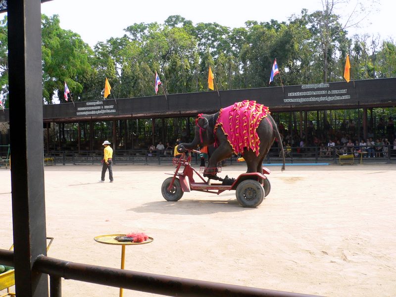 Мой Тай - с задержкой в год (ПТТ-Чанг-Кут-ПТТ)