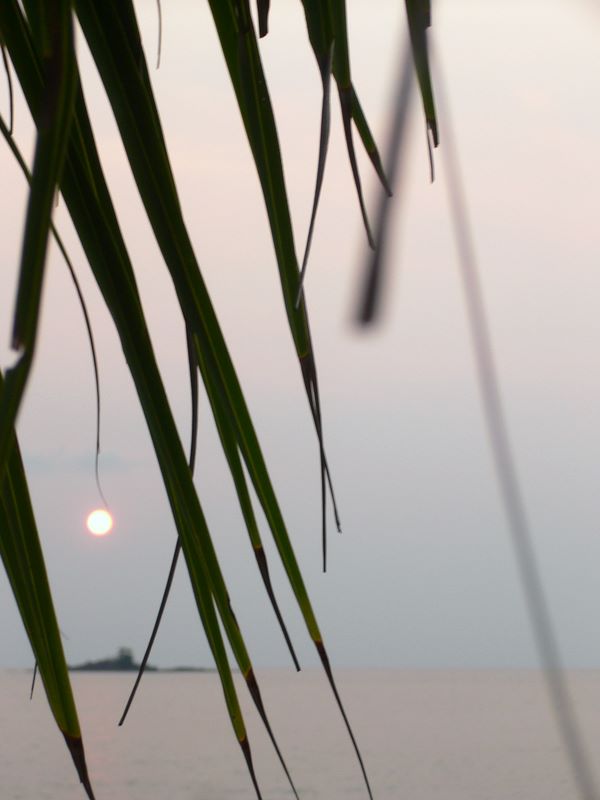 Мой Тай - с задержкой в год (ПТТ-Чанг-Кут-ПТТ)