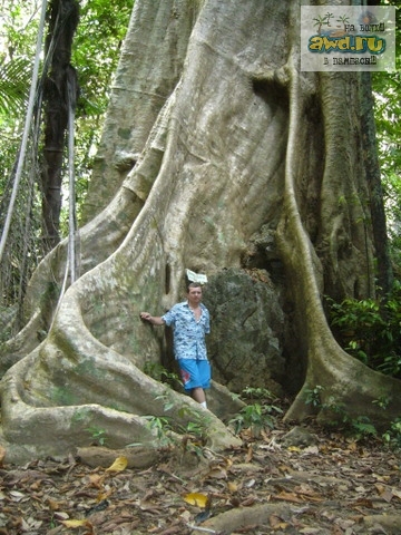 Хороший массаж на Ao-Nang