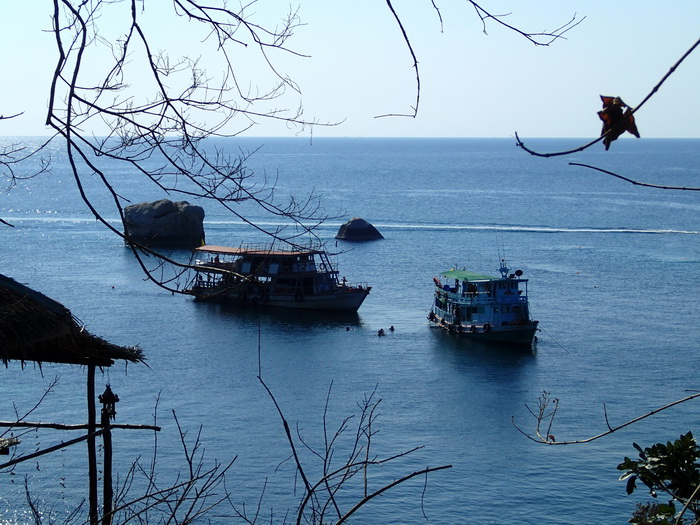 Утомленные снорком 2. Ко Samui – Koh Tao. Февраль – март 2014.