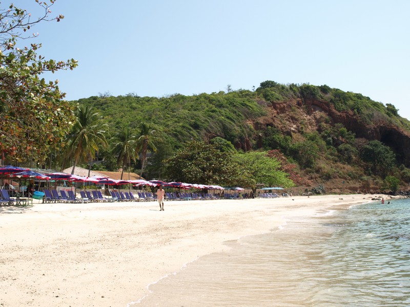 На волю в пампасы или отпуск на скорую руку (март 2009)