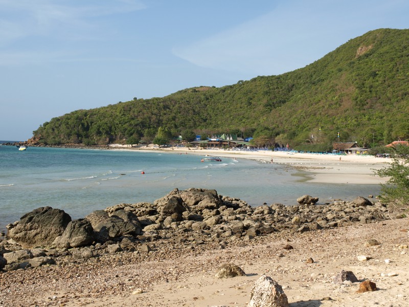 На волю в пампасы или отпуск на скорую руку (март 2009)