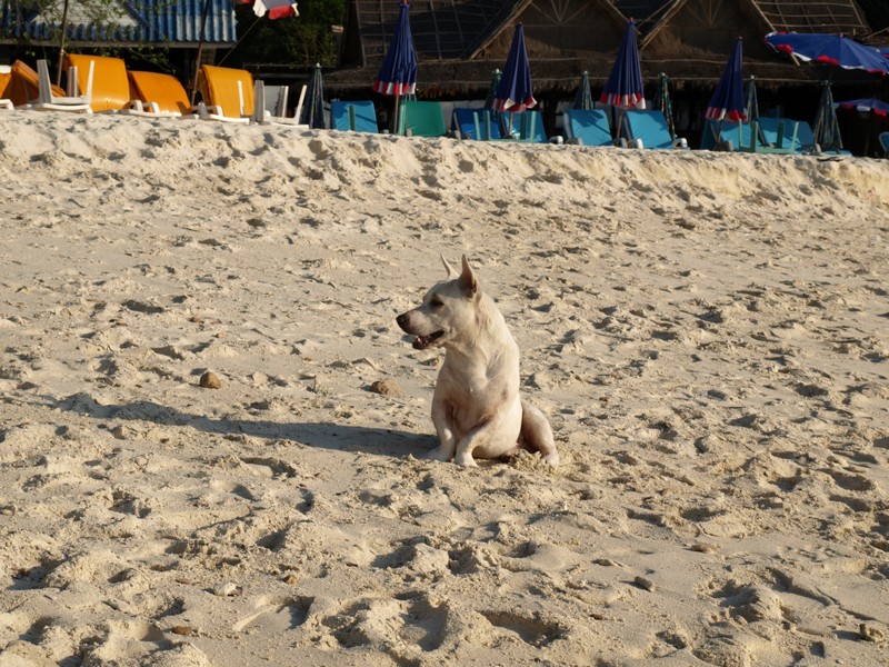 На волю в пампасы или отпуск на скорую руку (март 2009)