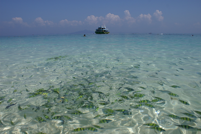 Bangkok Phuket Phi Phi Don Bamboo Island фото (траффик)
