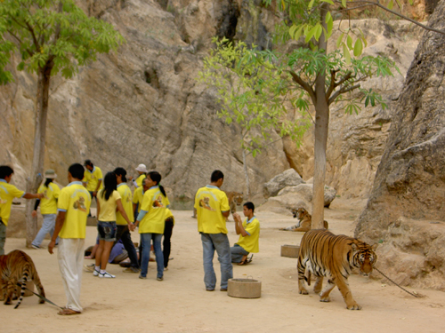 Бангкок – Камбоджа – Куала-Лумпур – Пукет (декабрь 2007)