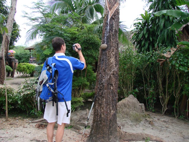 Бангкок- Пхукет- Бангкок ноябрь 2007.