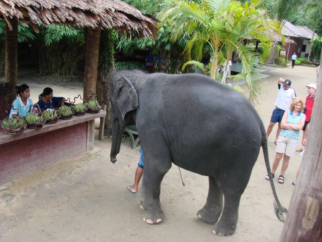 Бангкок- Пхукет- Бангкок ноябрь 2007.