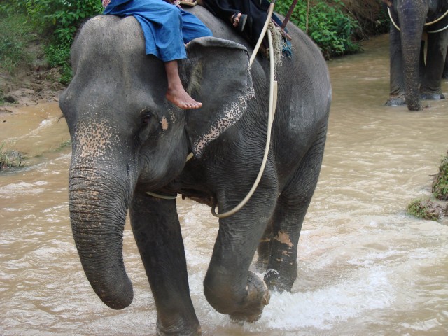 Бангкок- Пхукет- Бангкок ноябрь 2007.