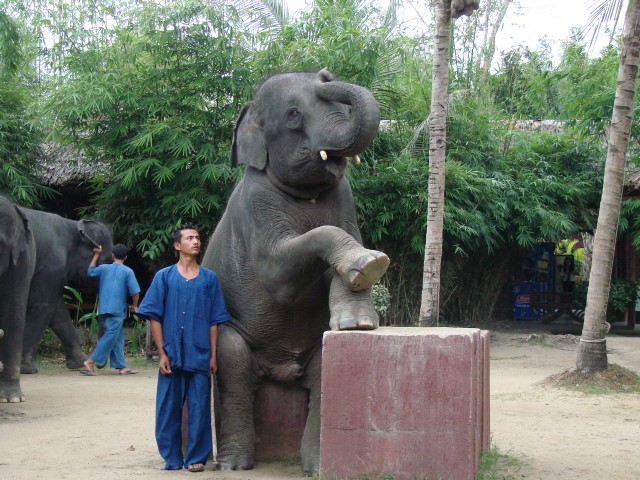 Бангкок- Пхукет- Бангкок ноябрь 2007.