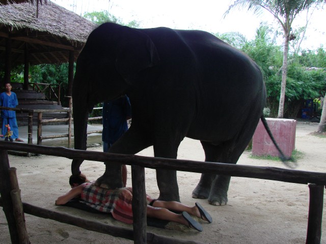 Бангкок- Пхукет- Бангкок ноябрь 2007.