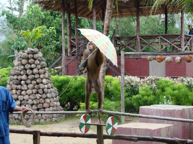 Бангкок- Пхукет- Бангкок ноябрь 2007.