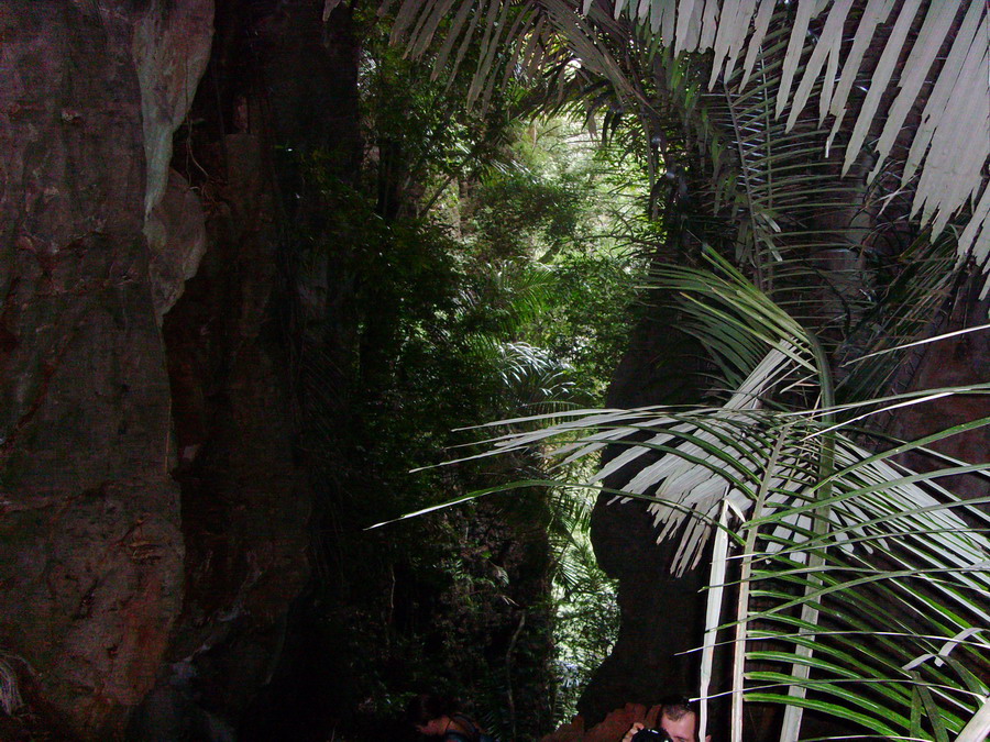 В первый раз БКК-Самуи-Краби-ПиПи-Пукет/февраль2009.