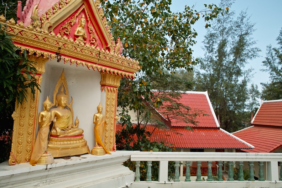Остров Samui on-line (12.01.2009 - 05.05.2009)