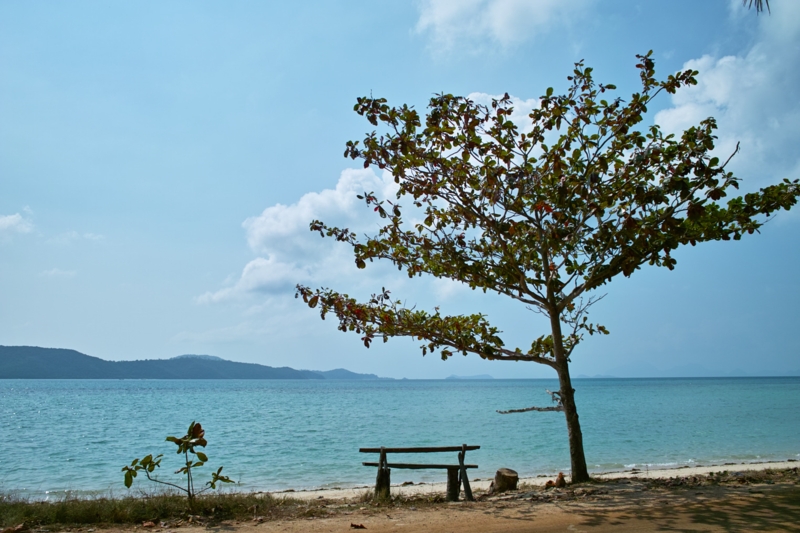 Остров Samui on-line (12.01.2009 - 05.05.2009)